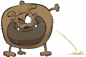 Chien qui urine