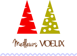 meilleurs-voeux